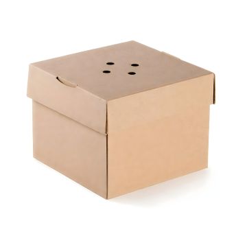 Burger box papierowy rozkładany 15×15×12 cm (100 szt.)
