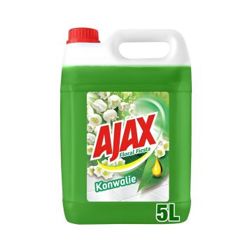Ajax Floral Fiesta Polne Kwiaty płyn uniwersalny 5L – do podłóg, ścian i powierzchni, trwały zapach kwiatów