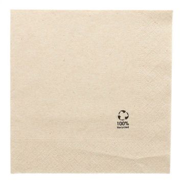 Serwetki papierowe dwuwarstwowe Recycled 33 x 33 cm 100 sztuk
