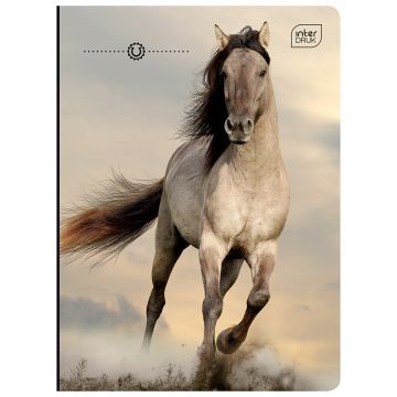 Notebook A5 32 sheets squared with margin GIRLS mix INTERDRUK
