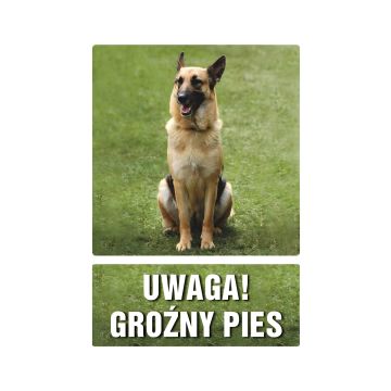 Znak ostrzegawczy Uwaga groźny pies 148x210 mm na płycie PCV 1 mm