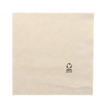 Serwetki papierowe dwuwarstwowe Recycled 33 x 33 cm 100 sztuk