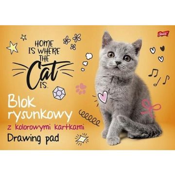 Blok Rysunkowy Kolorowy A3 16 kartek 80g UNIPAP