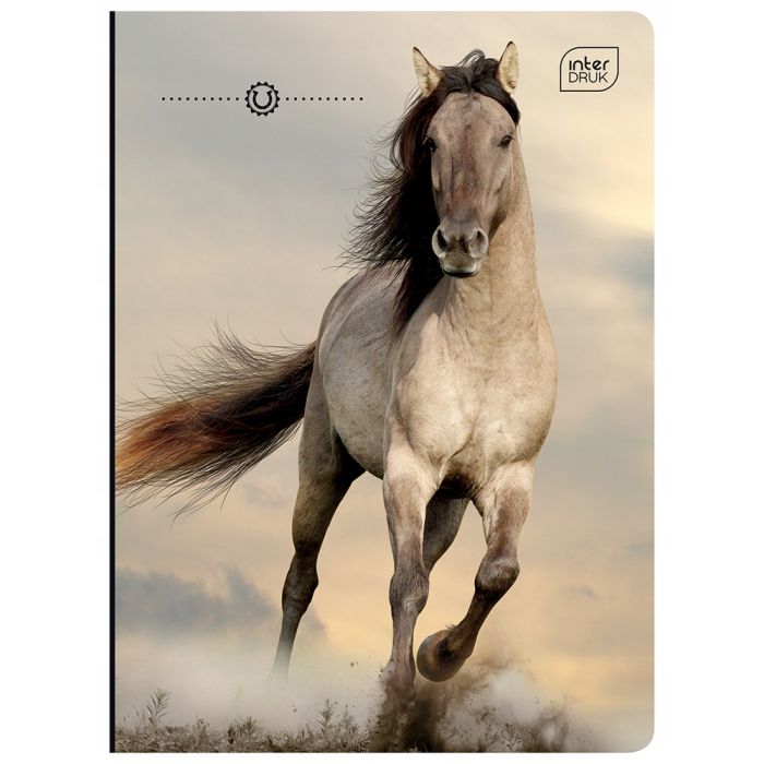 Notebook\u0020A5\u002032\u0020sheets\u0020squared\u0020with\u0020margin\u0020GIRLS\u0020mix\u0020INTERDRUK\u0020\u002D\u0020zdj\u0119cie\u00201