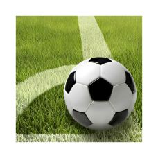 Serwetki papierowe trzywarstwowe wzór Football 1/4 format 33 x 33 cm 20 sztuk