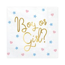Serwetki papierowe Boy or Girl 33x33cm 20 sztuk