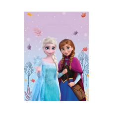 Torebki papierowe kraina lodu frozen 16x22 cm 4 szt. na prezenty b2b