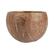 Miska z łupiny kokosa naturalna 200 ml wymiary 9 x 6 cm opakowanie 5 sztuk
