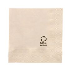 Serwetki papierowe dwuwarstwowe z wzorem Recycled 20 x 20 cm 100 sztuk