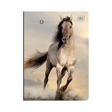 Notebook A5 32 sheets squared with margin GIRLS mix INTERDRUK