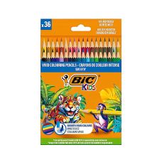 Kredki Drewniane ECO SMOOTH 36 Kolorów BIC