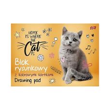 Blok Rysunkowy Kolorowy A3 16 kartek 80g UNIPAP