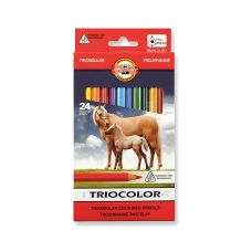 Kredki ołówkowe Triocolor trójkątne 24 kolory średnica 9 mm 1 sztuka